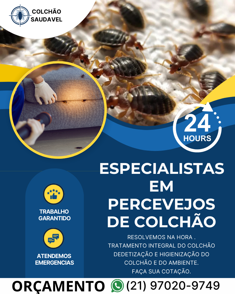 DEDETIZAR DEDETIZADOR PERCEVEJOS RIO DE JANEIRO PERCEVEJOS DE CAMA RIO DE JANEIRO